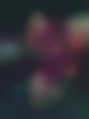 Parisian Pair Photography