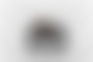 Subconcious Surreal Sculptures (UPDATE) : Nancy Fouts