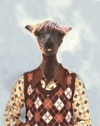 Animal School Photos Image 7