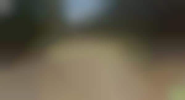 Panoramic National Park Videos