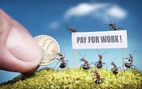Action-Packed Ant Photography Image 8