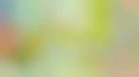 Healthy Happy Meal Branding