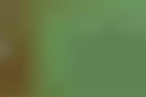 Environmental Proofreading : abediting