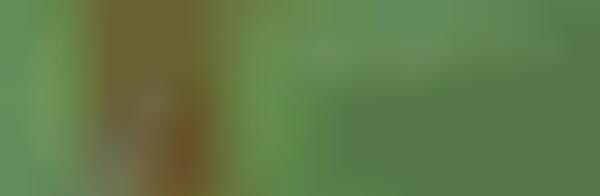 Environmental Proofreading : abediting