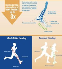 Shoeless Jogger Charts Image 5