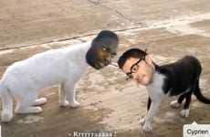 French-Subtitled Feline Films