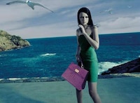Stoic Seaside Campaigns Image 6