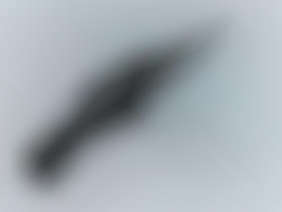 Rifle-Shaped Cameras