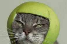 Meme-Inspired Commercials