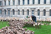 Clay Flower Installations Image 2