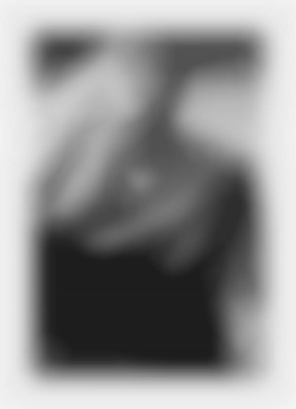 Dynamically Veiled Pictorials
