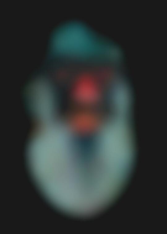 Grotesque Neon Portraits