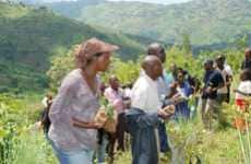 Trees to End Poverty