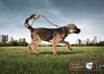 Hand-Shaped Tail Ads