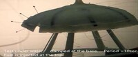 Self-Sustaining Cyborg Fish Image 3