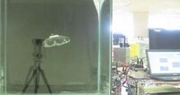 Self-Sustaining Cyborg Fish Image 4