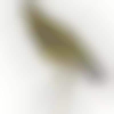 Sparkling Fowl Labels