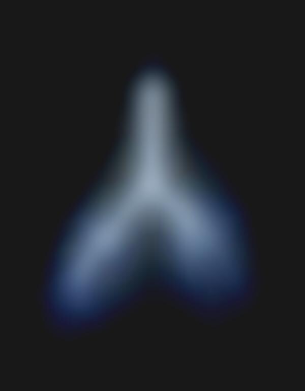 Luminescent Anatomy Art