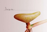 Edible Fixie Bicycles Image 2