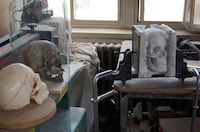 Manual Man Skulls Image 6