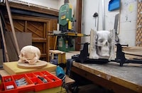 Manual Man Skulls Image 7