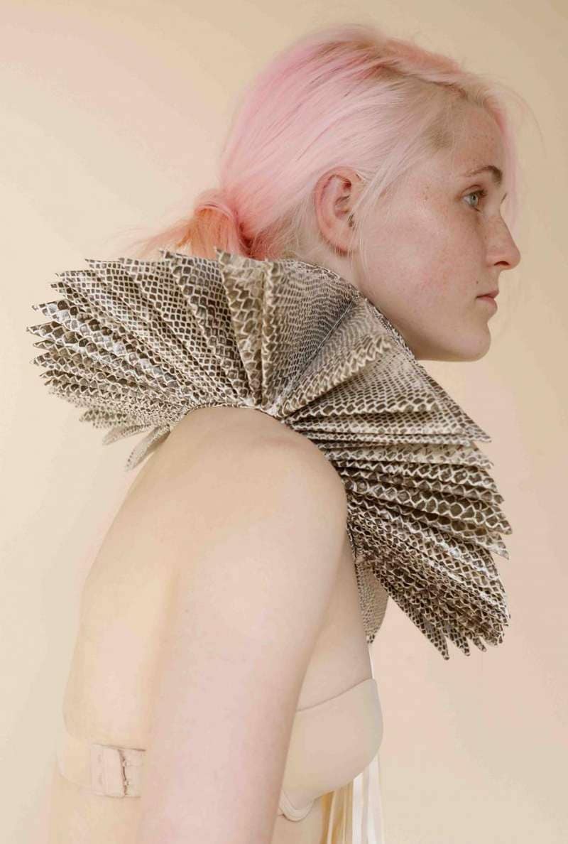 Aristocratic Collar Editorials