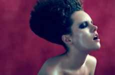 Geometric Hair Features