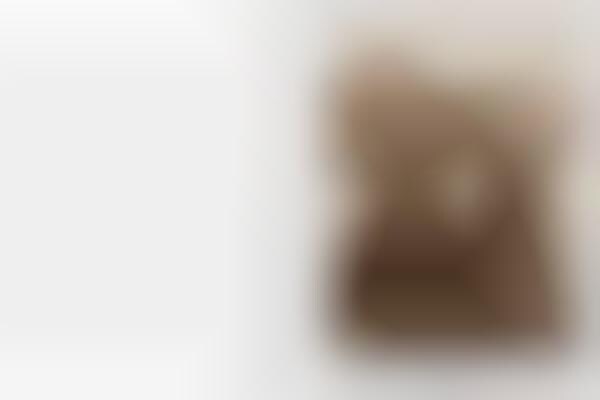 Romantic Brown-Tinged Photography