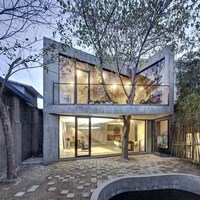 Tree-Infused Dwellings