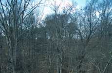 Colossal Bird Structures