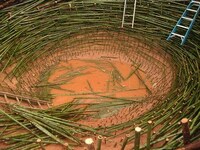 Colossal Bird Structures Image 4