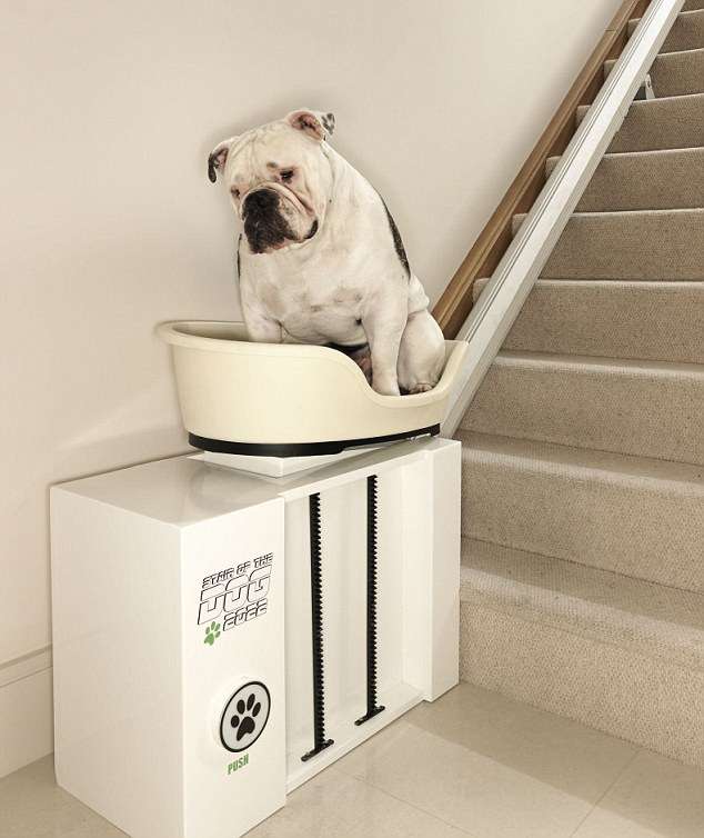 Porky Pooch Stairlifts