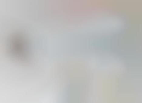 Fowl-Home Megaphones