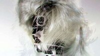 Frenetic Fractal Vids Image 7