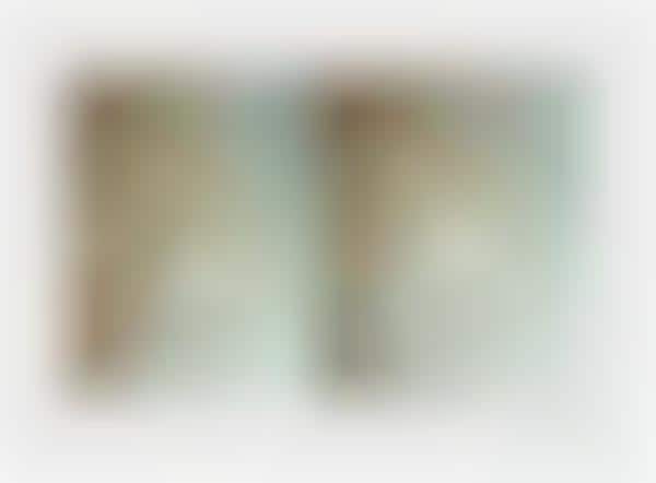 Agitating Aging Solution Ads
