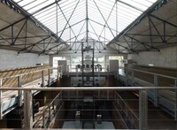 Sleek Structure Shoots Image 6