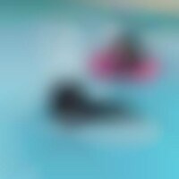 Cuddly Canine Water Wafts Image 1