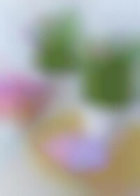 Picnic-Patterned Confections Image 1