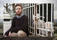 Cozy Countryside Campaigns Image 4