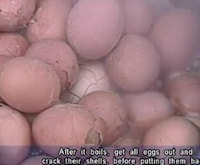 Human Waste Delicacies Image 3