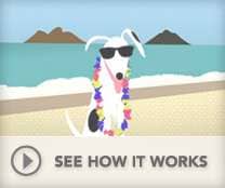Canine Holiday Homes 