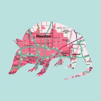 Colorful Animal Maps Image 6