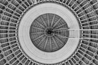 Otherworldly Monochromatic Photography Image 4