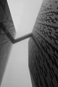 Otherworldly Monochromatic Photography Image 7