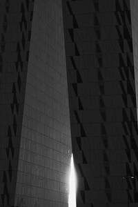 Otherworldly Monochromatic Photography Image 8