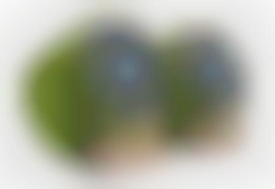 Green Desktop Speakers