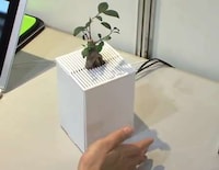Emotion-Expressing Greenery Image 2