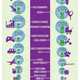 Crowd-Sourced Question Graphs Image 4