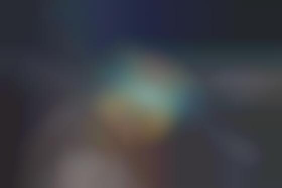 High-Res Insect Captures 