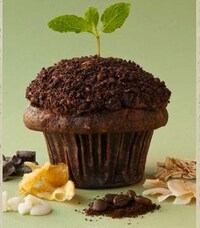 Decadent Decomposing Cakes